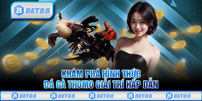 Đá Gà Thomo - Giải Trí Kịch Tính Và Độc Đáo Trên Nhà Cái Bet88
