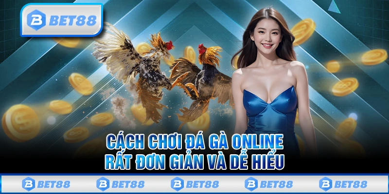 Cách Chơi Đá Gà Online Bet88 Giúp Bạn Tăng Khả Năng Thắng Lớn 2 Cách chơi đá gà online Bet88 dễ hiểu cho người mới tham gia
