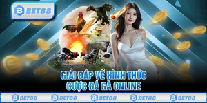 Cách Chơi Đá Gà Online Bet88 Giúp Bạn Tăng Khả Năng Thắng Lớn
