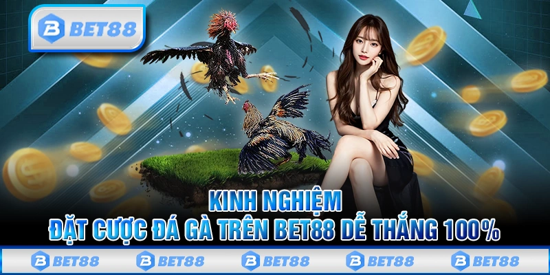Đá Gà Bet88 - Đấu Trường Đẳng Cấp Uy Tín Và Minh Bạch Số 1 3 Kinh nghiệm đặt cược đá gà trên Bet88 dễ thắng 100%
