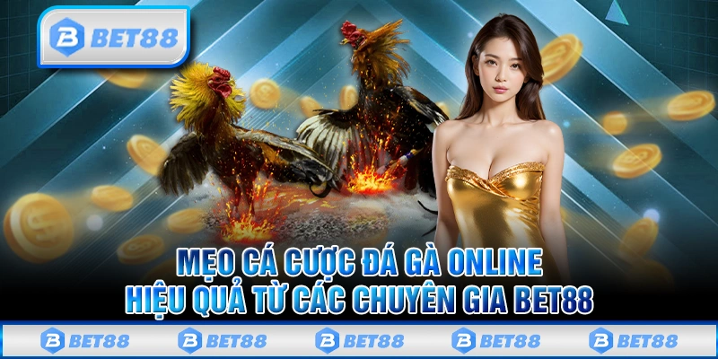 Cách Chơi Đá Gà Online Bet88 Giúp Bạn Tăng Khả Năng Thắng Lớn 3 Mẹo cá cược đá gà online Bet88 hiệu quả từ các chuyên gia