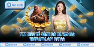Trải Nghiệm Ws168 Đá Gà Online Đỉnh Cao Trên Nhà Cái BET88